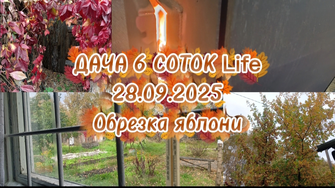 ДАЧА 6 СОТОК LifeОБРЕЗАЛИ ЯБЛОНЮЗАКРЫЛИ ОТ МОРОЗА ГРЯДКИ С ЧЕСНОКА И ЛУКА НА ЗЕЛЕНЬ