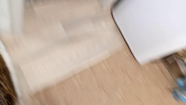 василёк всегда