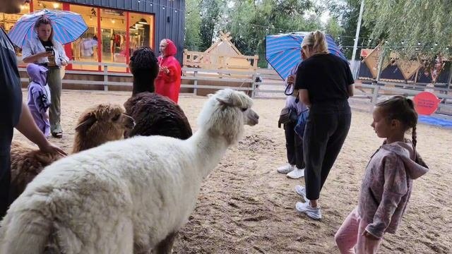 альпака парк