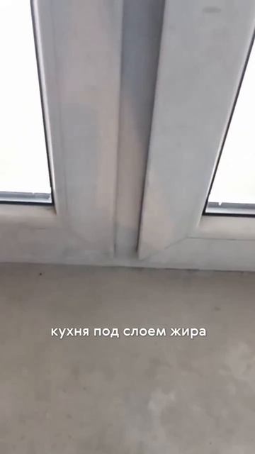 История уборки в которой клинеры чистили ауру