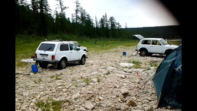 ОЛЕНЬ