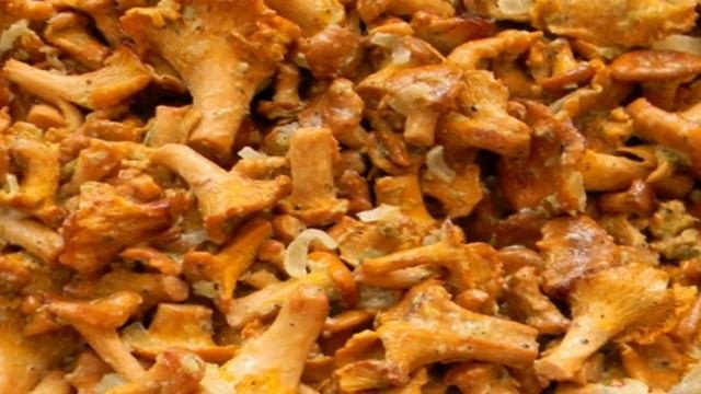 Лисички запеченные в сметане