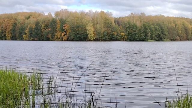 Утро на озере и в лесу  28 сентября