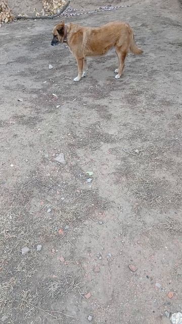 1000001770.mp428.09.2025г.
