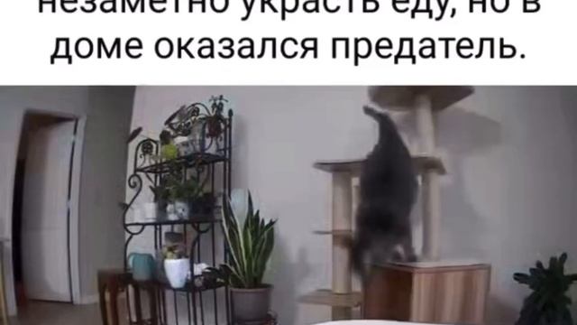 1000014190.mp4