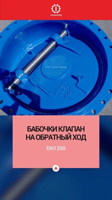 Без названия