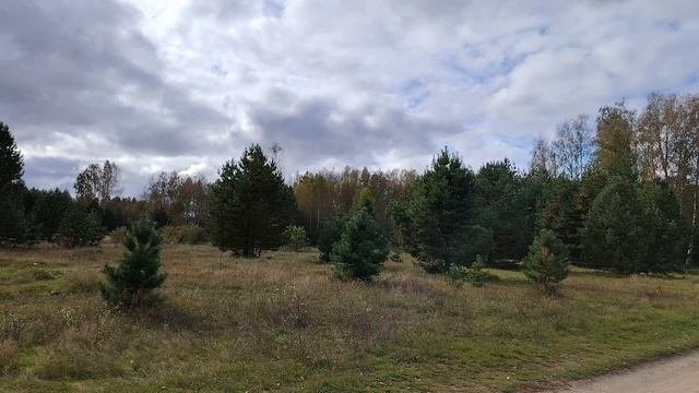 Утро на озере Сынтул  28 сентября