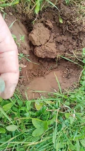 VID_20250928_123558_877.mp4