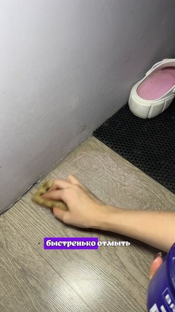 все из-за собаки!