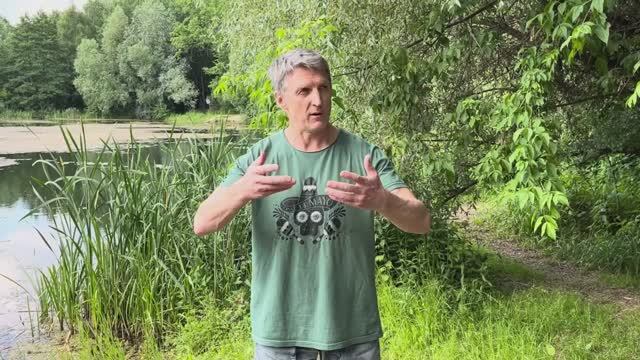 Видеоурок. Скручивающий элемент в Тайцзицюань - РУКИ