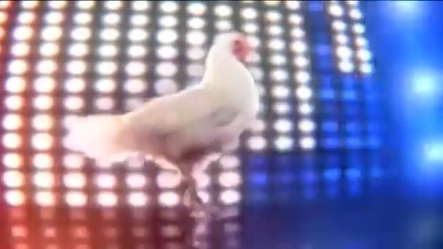 Диско-курицы