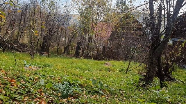 К ночи решило солнышко явиться...