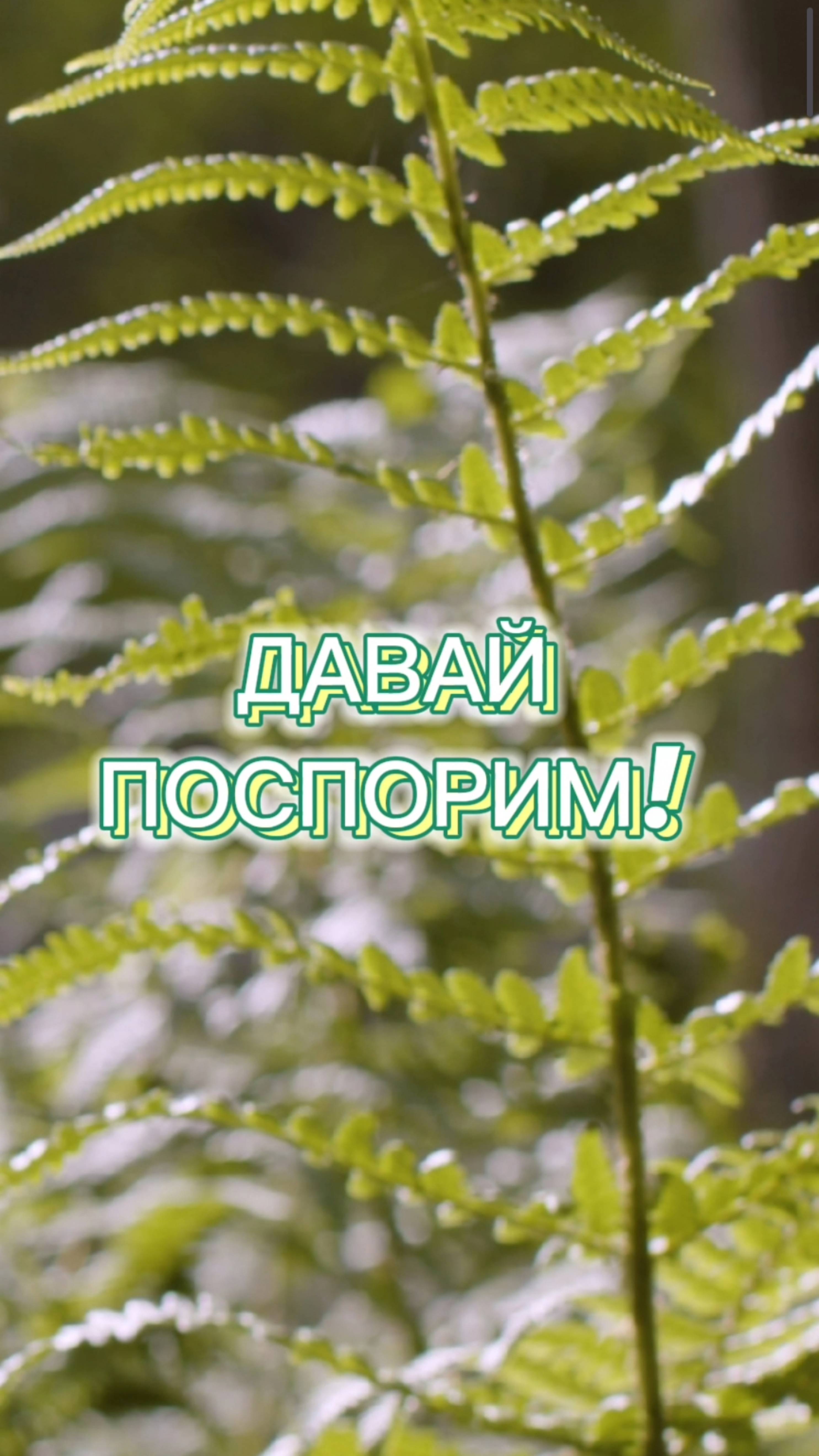 Цветок папоротника: миф, проверенный на подоконнике🌺