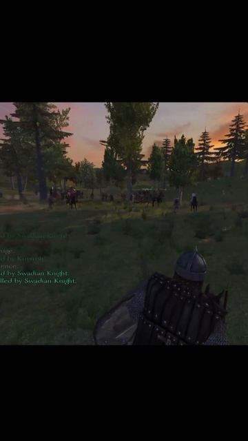 Лорд повержен⚔️ #mountandblade #rpg #game #gaming #gameplay #games #gamer #игры