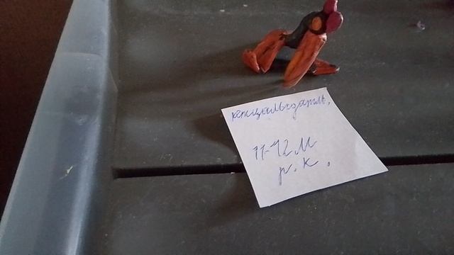 какой летающий динозавр самый большой за всю историю нашей планеты?