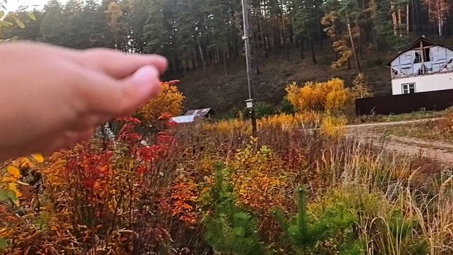 Участок рядом с рекой, озером и лесом в Иркутске.
