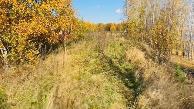 Поездка в деревню Тополевка Томская область 20 сентября 2025г