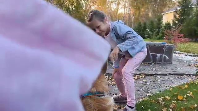 собака вадваре!?