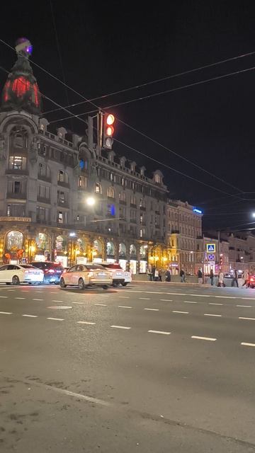 Перехожу Невский проспект 🐜