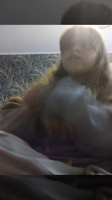 VID_20250928_161904.3gp