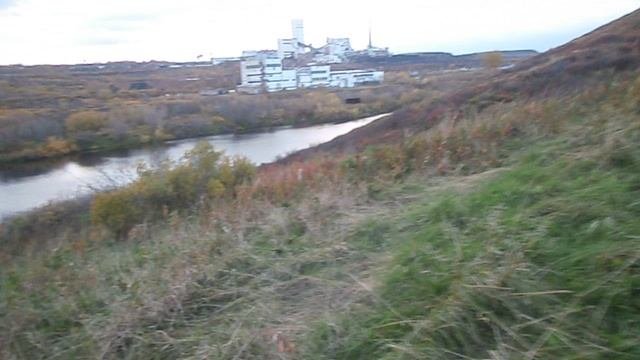 В тундре 14 09 2025 111