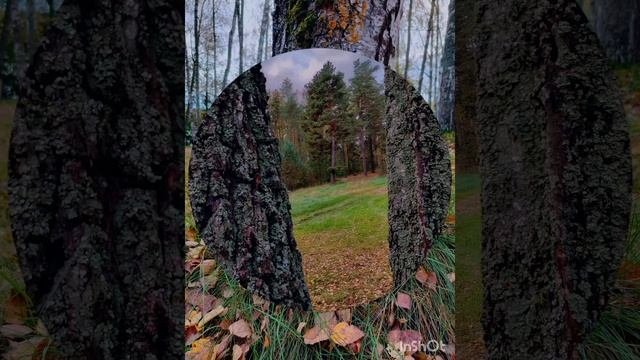 Утренняя осенняя прогулка  28 сентября