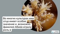 Фамилия Абиев: происхождение, история и значение - всё, что вам нужно знать об этом редком и