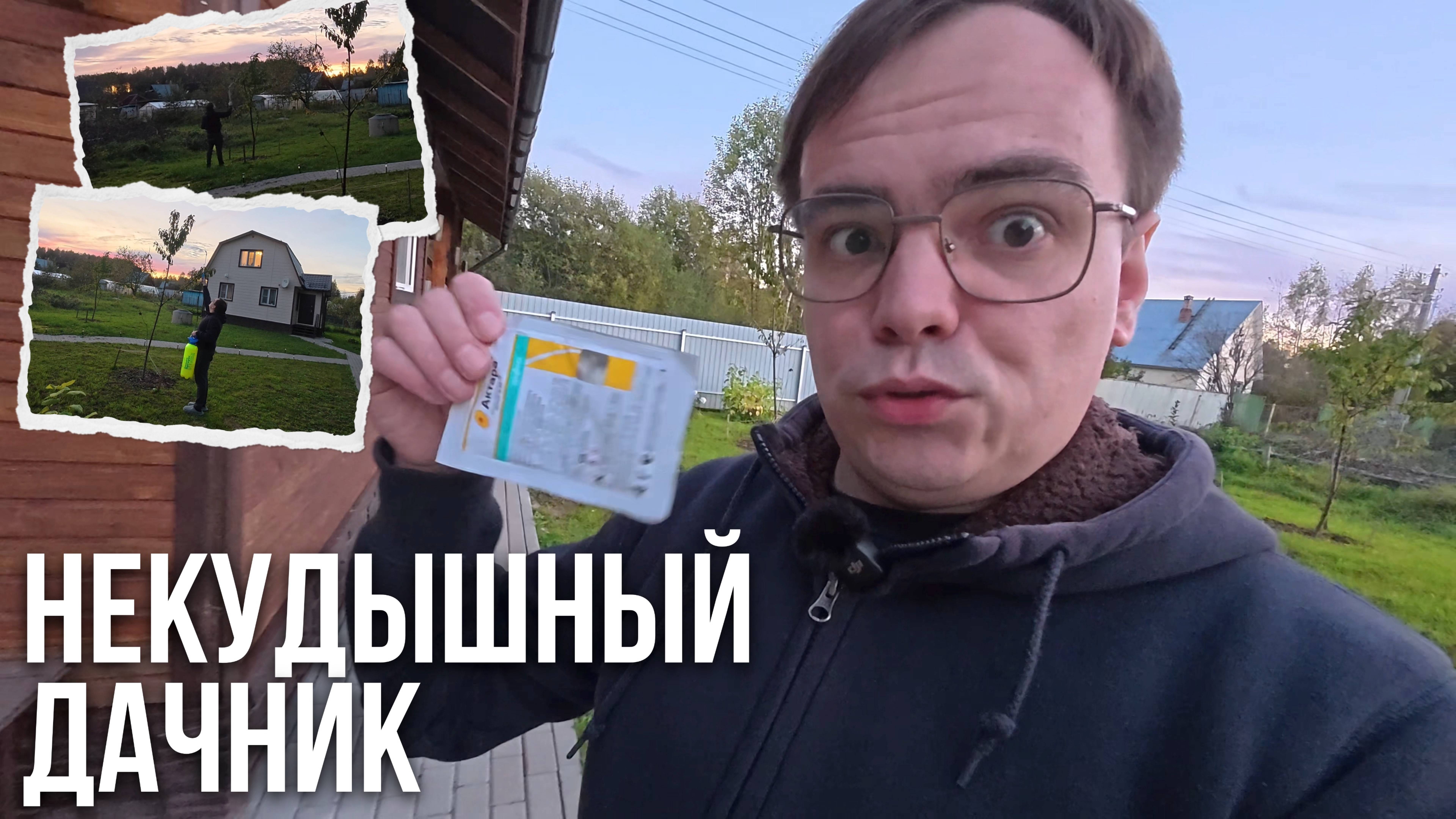 Неужели я  некудышныи дачник_ Спасаю черешню в последнии момент!
