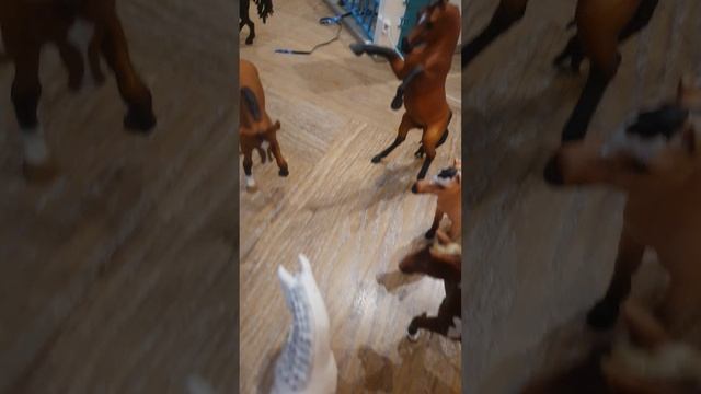 лошади шляйх играют в мафию
