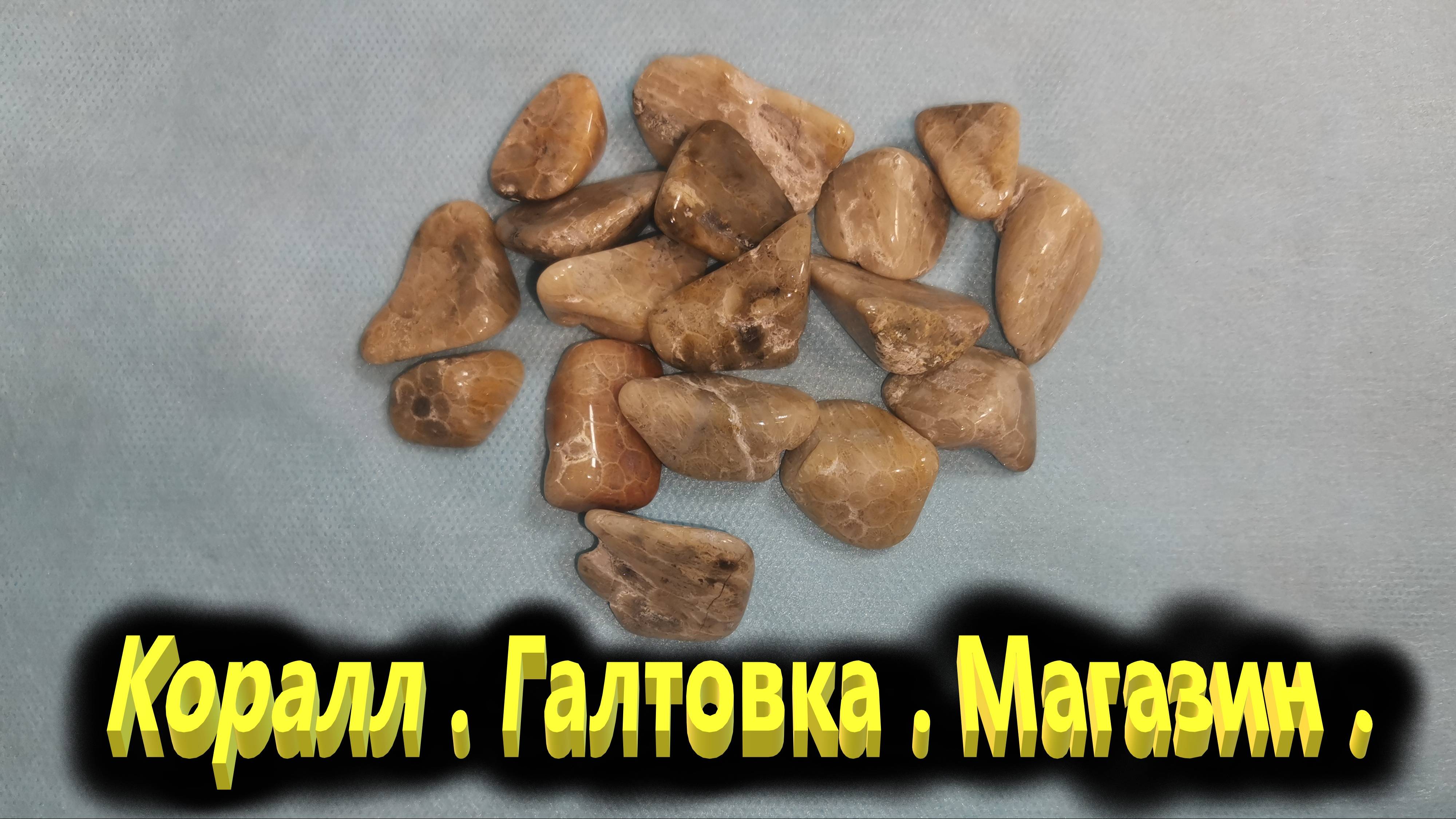 Подмосковный коралл . Галтовка . Магазин.
