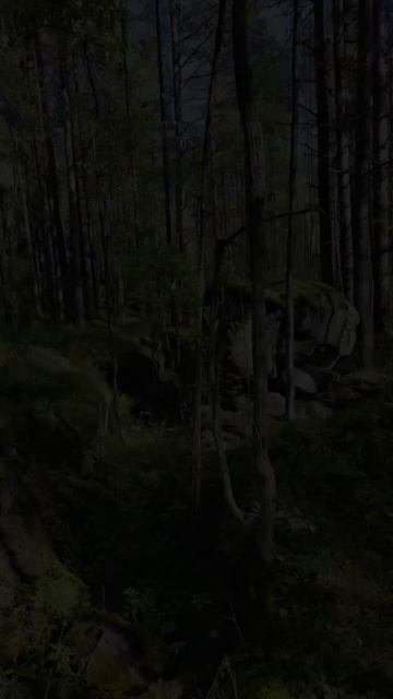 Карелия. Медвежьегорск. Кархумяки. Karelia. Medvezhyegorsk. Karkhumyaki