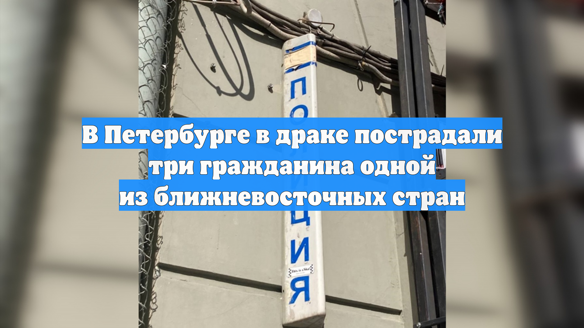 В Петербурге в драке пострадали три гражданина одной из ближневосточных стран