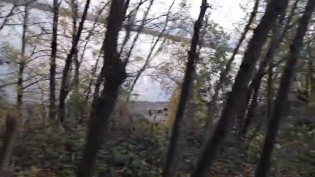 28-09-2025 Замечательная природа Пермского края