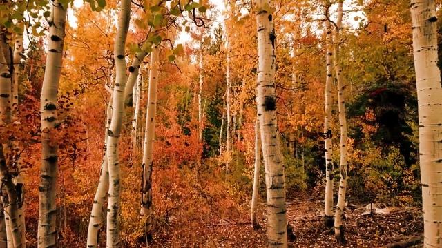 сентябрь