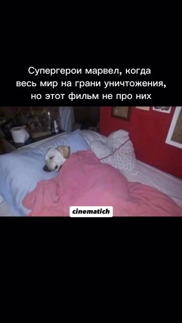 За подписку жму руку 🤝 #spiderman #mem #memes #cinematich #кино