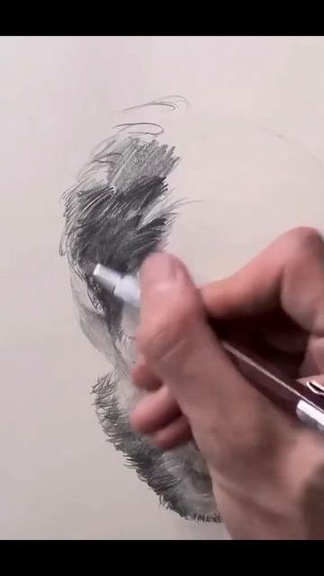 1000082616.mp4