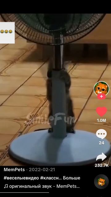 😹😹😹😹😹😹😹