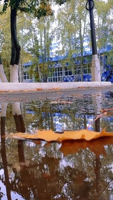 Краски осени в ЮЗГУ