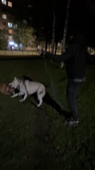 Какие слова 😊👍
