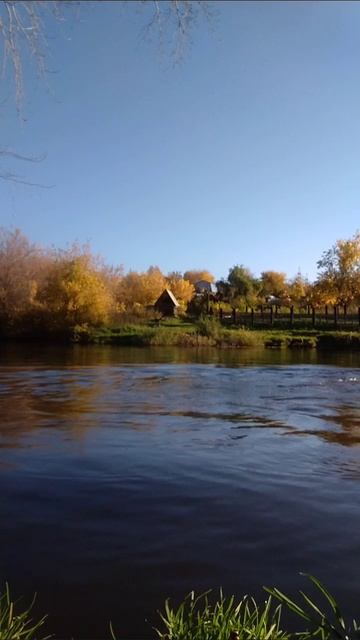 заплыв