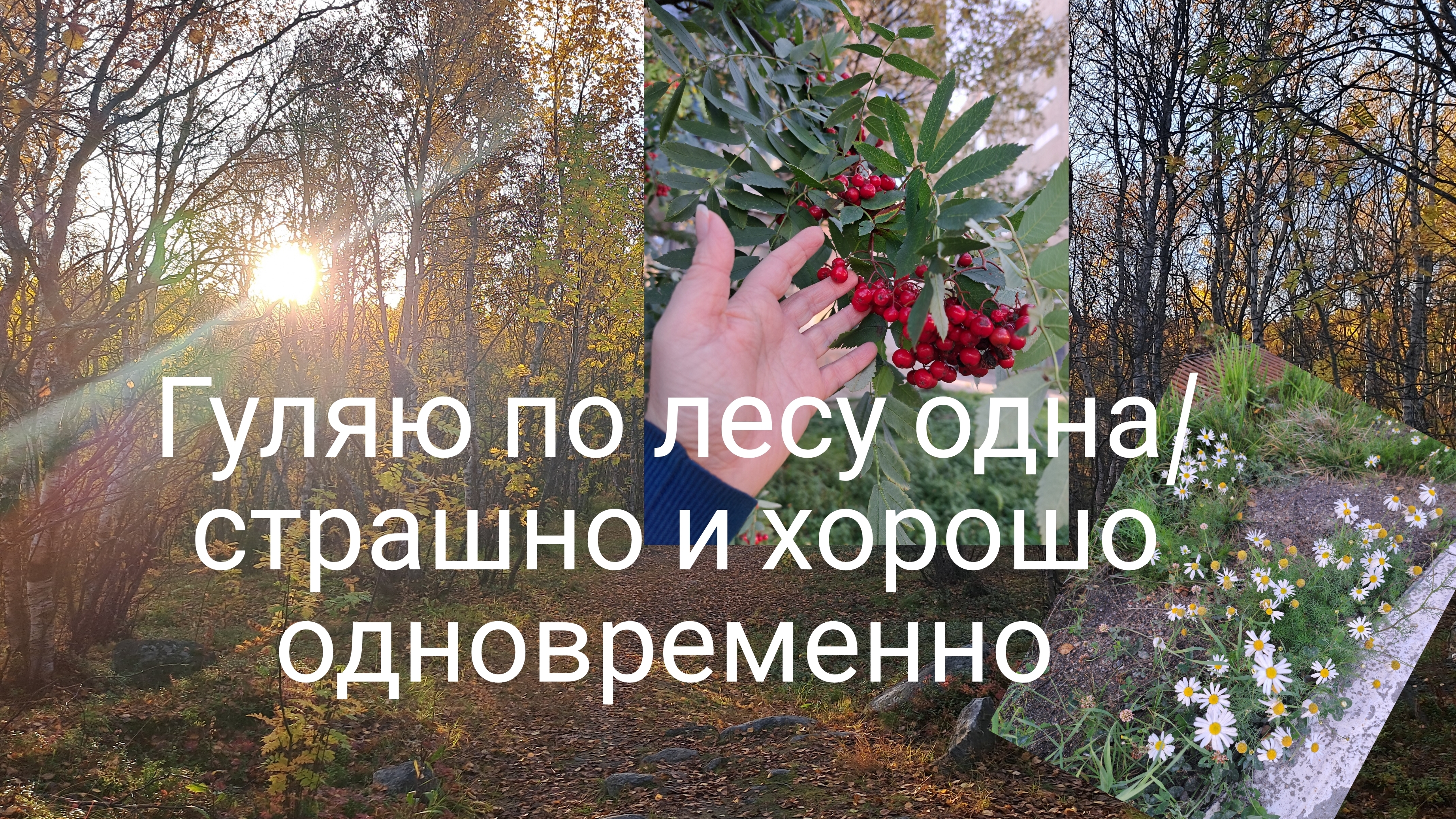 Гуляю по лесу одна/ страшно и хорошо одновременно