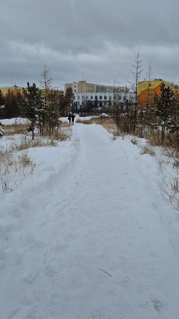 Метель в Якутии. Не почищены лестицы и дорожки
