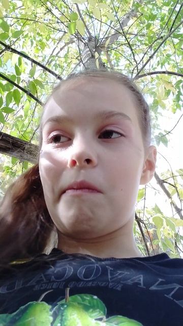 дерево