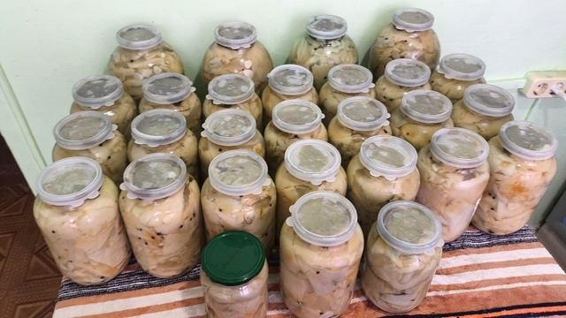 Грибной рай Александр Сторожко 28 сентября сколько я сделал банок много груздей