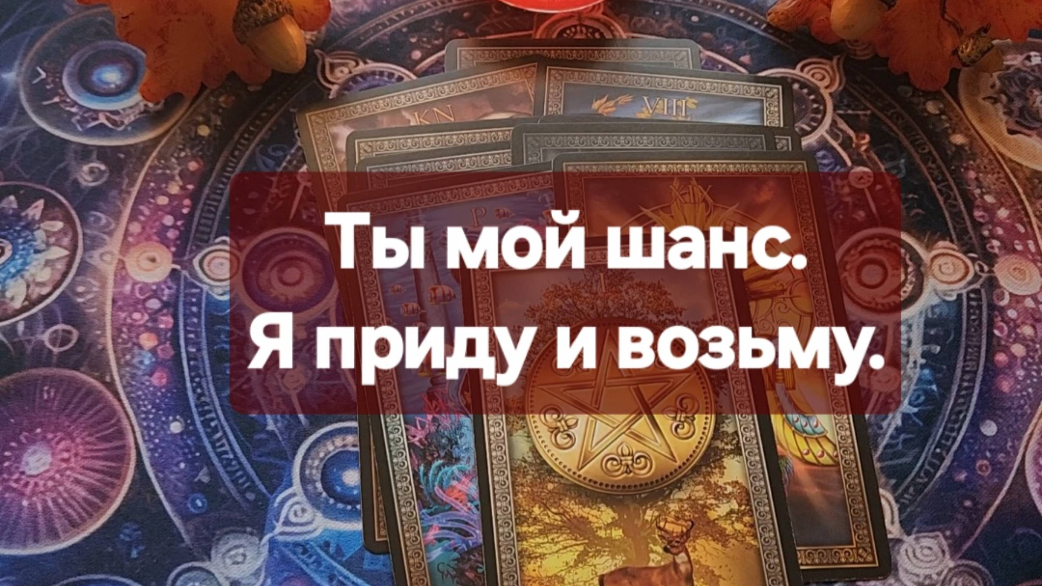 ⚜️Его мысли о вас. Ты моё наказание и мой шанс⚜️
