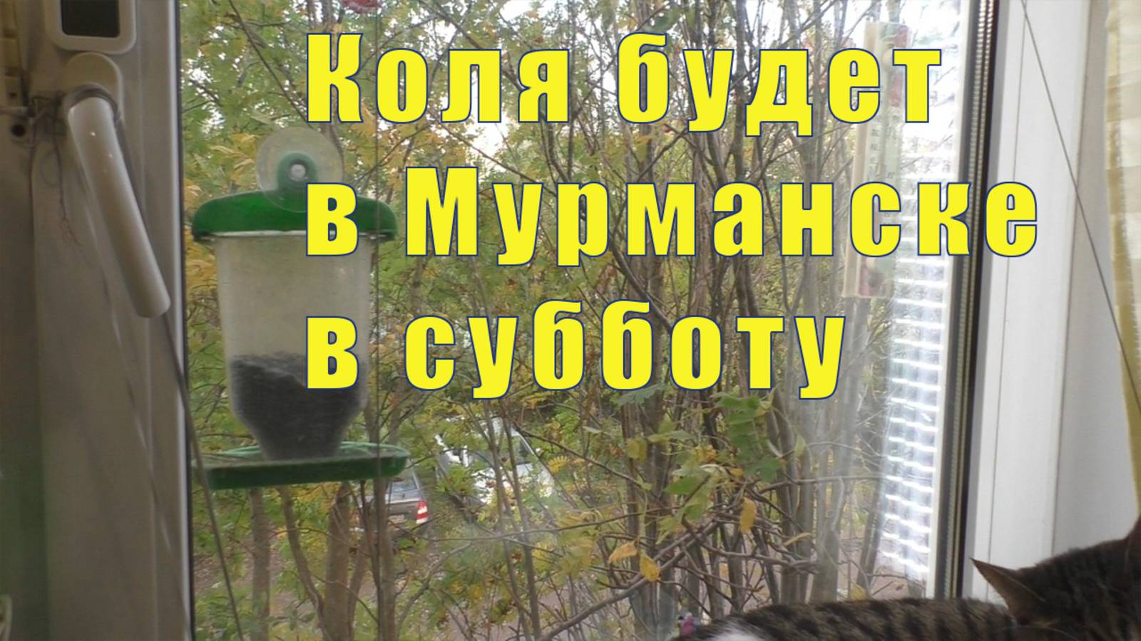 Я В ШОКЕ! ЗВОНИЛ КОЛЯ - ОН КУПИЛ БИЛЕТЫ И ПРИЕЗЖАЕТ  22 и 23  и 24 сентября 2025