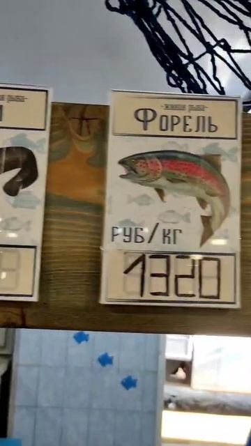Цены на рыбу, которую выращивают на нашем водохранилище 🐟