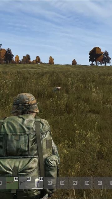 DayZ Кабан