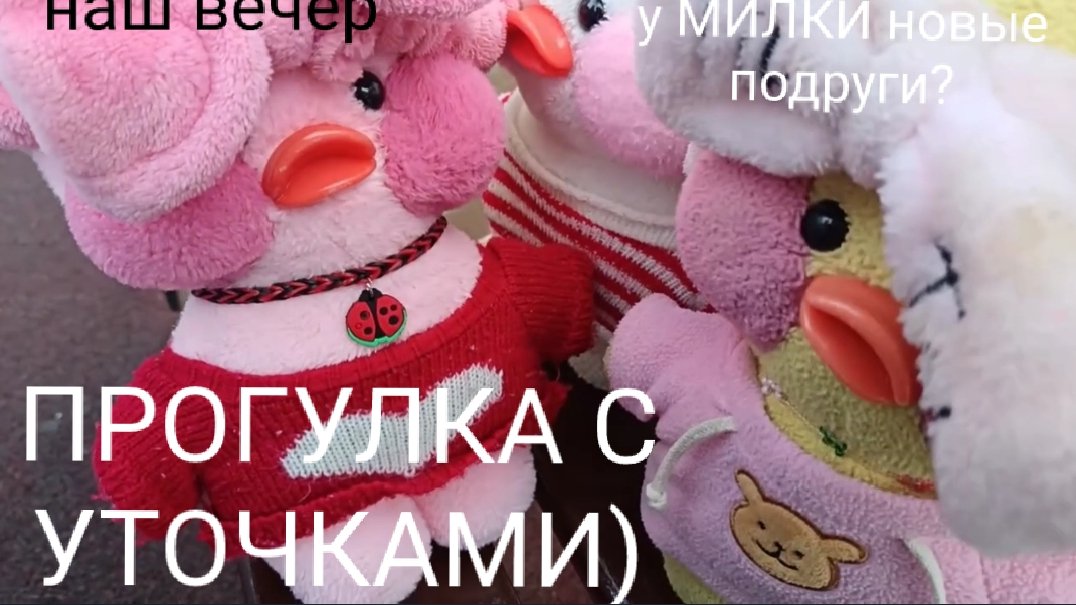 ПРОГУЛКА🍁🍂 УЮТНЫЙ ВЕЧЕР С УТОЧКАМИ)