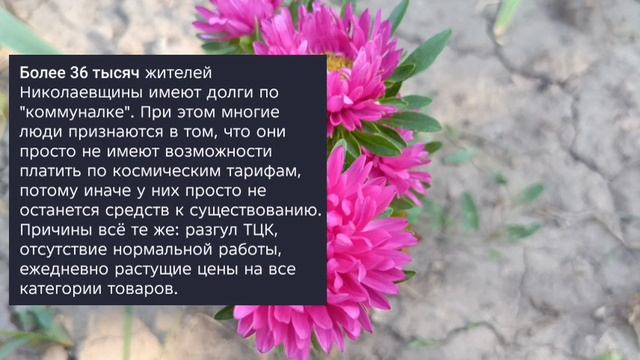 Николаев 28 сентября 2025 года новости